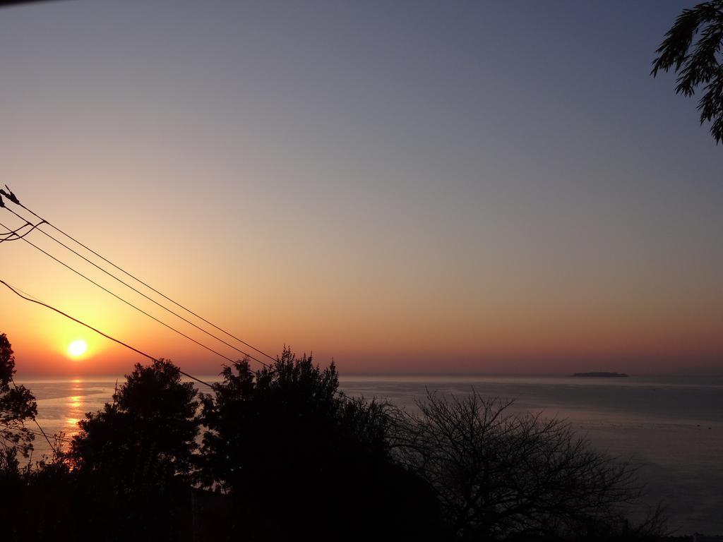 Ryokan Izuna Hotel Atami  Bagian luar foto